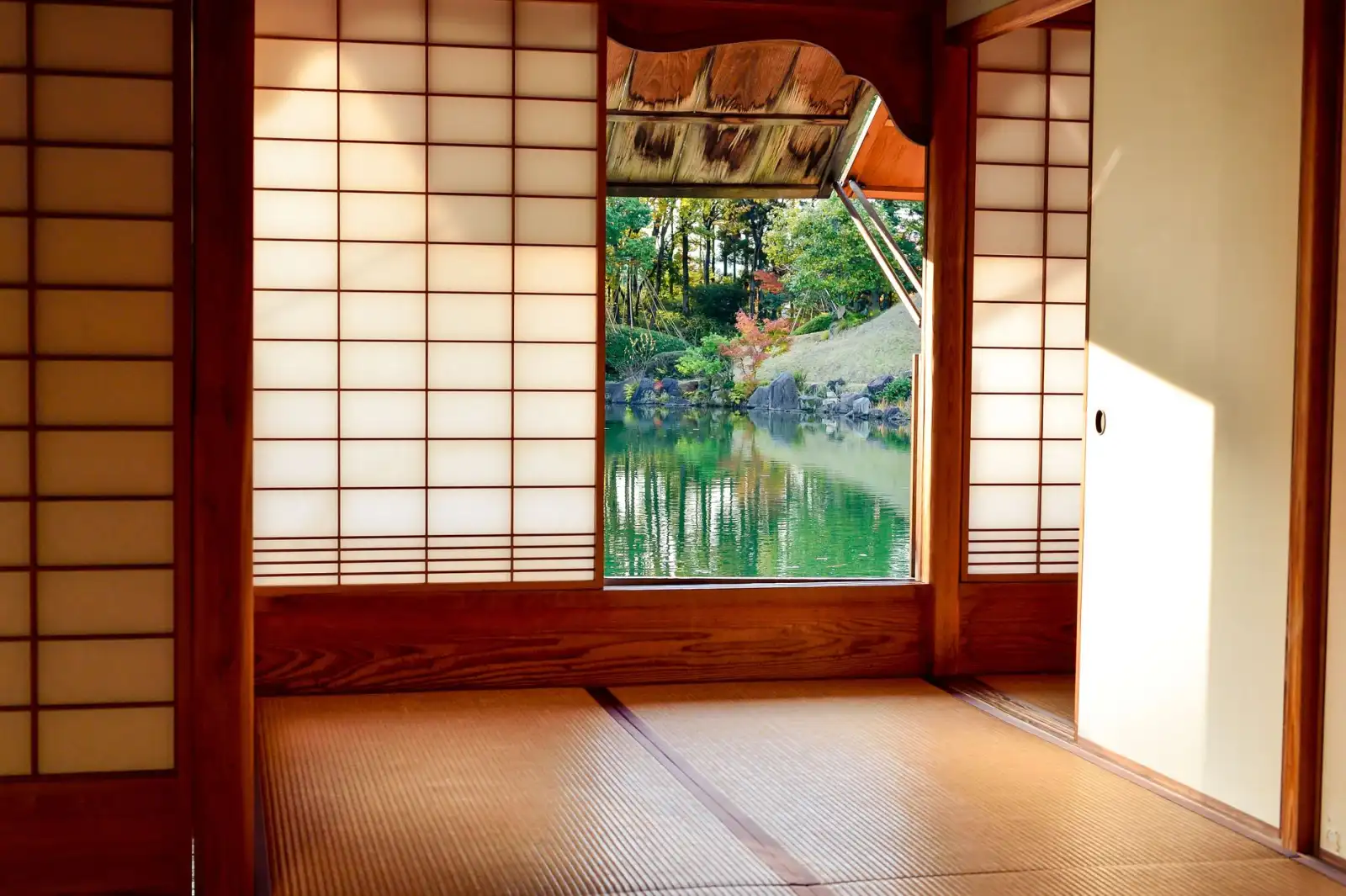 杭州别墅花园设计案例:从荒废庭院到锦鲤鱼池与休闲区一体化改造实录正文配图 1