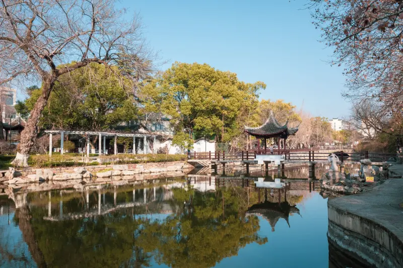 浙江园林景观设计服务范围:从屋顶花园到别墅庭院的全流程交付正文配图 1